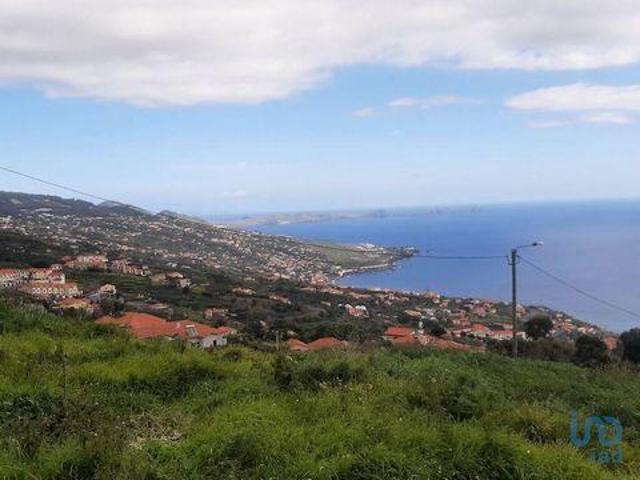 Casaa Santa Cruz Ilha da Madeira 9100 033 DLS88597583