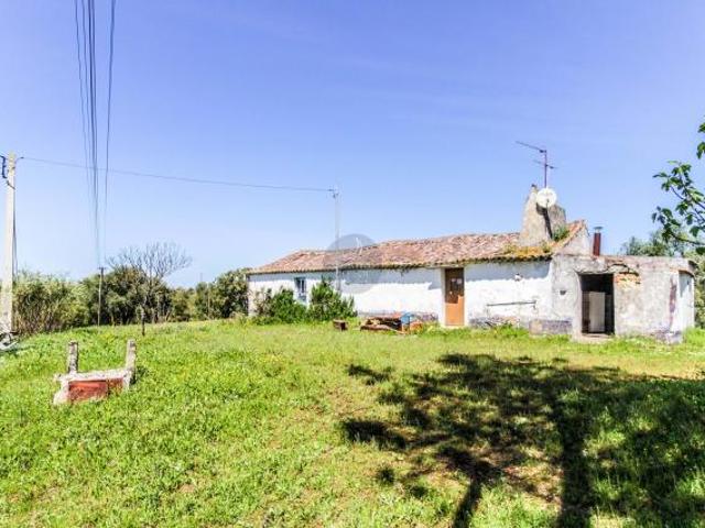 Casaa Santarém Santarém DLS75653146