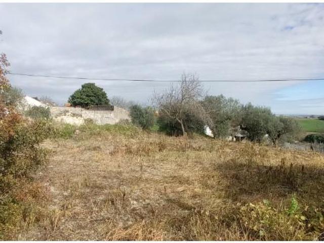 Casaa Santarém Santarém DLS94961868
