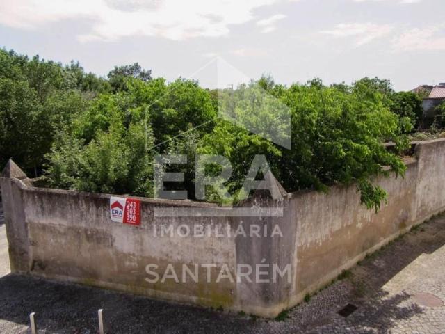 Casaa Santarém Santarém DLS99711138