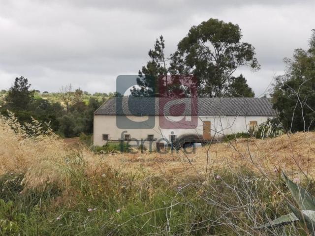 Casaa Santarém Santarém DLS100197005