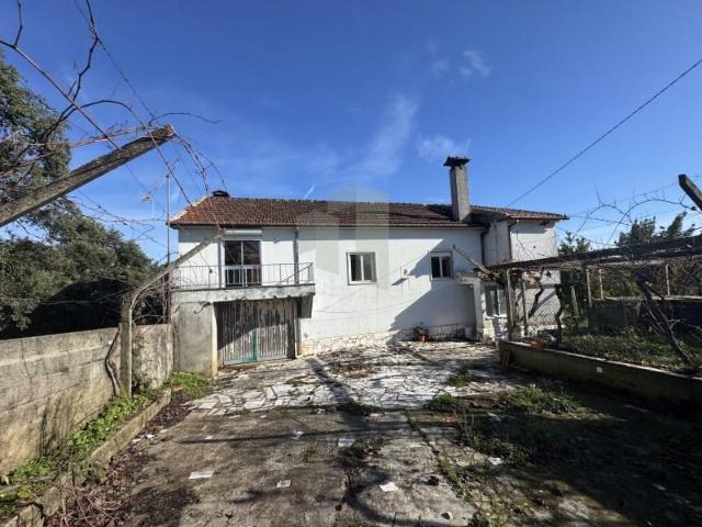 Casaa Sertã Sertã DLS97481373
