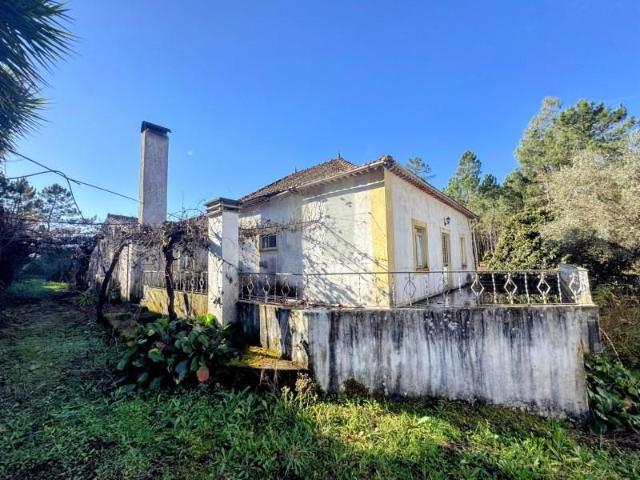 Casaa Sertã Sertã DLS97481375