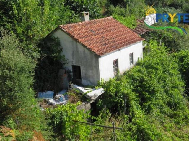 Casaa Sertã Sertã DLS98362879