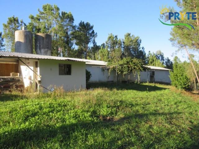 Casaa Sertã Sertã DS96463010