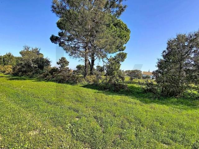 Casaa Sesimbra Sesimbra DLS102448279