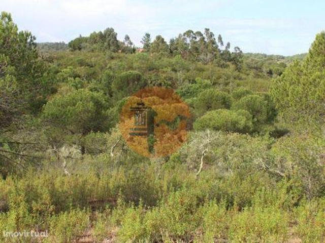 Casaa Silves Faro DLS96319556