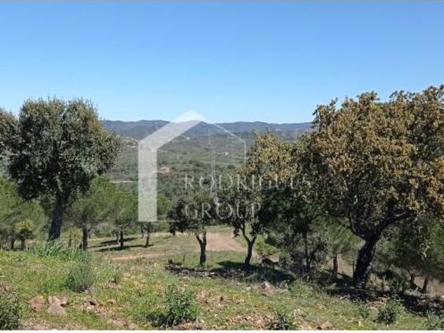 Casaa Silves Silves DLS101624911