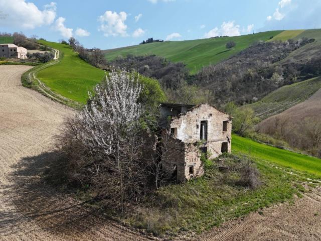 Casale Colonico Rustico in vendita a Ripatransone, Collinare