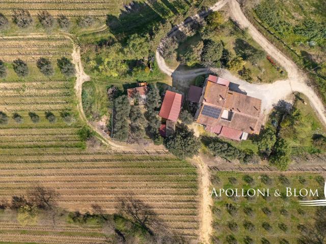 Casale con cantina, vigneto e uliveto, Montepulciano Tosca. 430m² Montepulciano