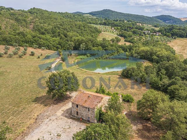 Casale con laghetto e terreno – Umbria, Todi 450m² Izzalini