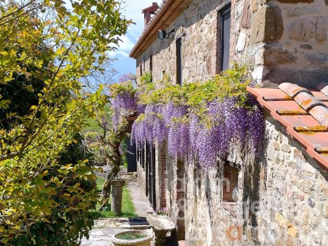 Casale con produzione di vino e olive su 31 ettari di terren. 518m² Montegabbione