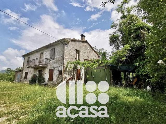 CASALE CON TERRENI