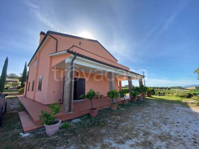 Casale in affitto a Orbetello strada Provinciale San Donato, arredato, giardino privato, terrazzo TrovaCasa