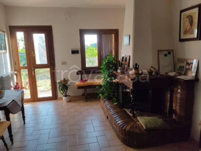 Casale in in affitto da privato a Cecina via Potenza, 18, giardino, da privato, cantina TrovaCasa