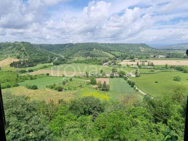 Casale in in affitto da privato a Bomarzo via Porta Antica, 34, posto auto, da privato, vista panoramica TrovaCasa