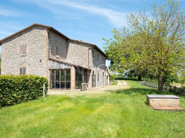 Casale in in affitto da privato a Gradoli località Cantoniera, snc, giardino, box, da privato TrovaCasa