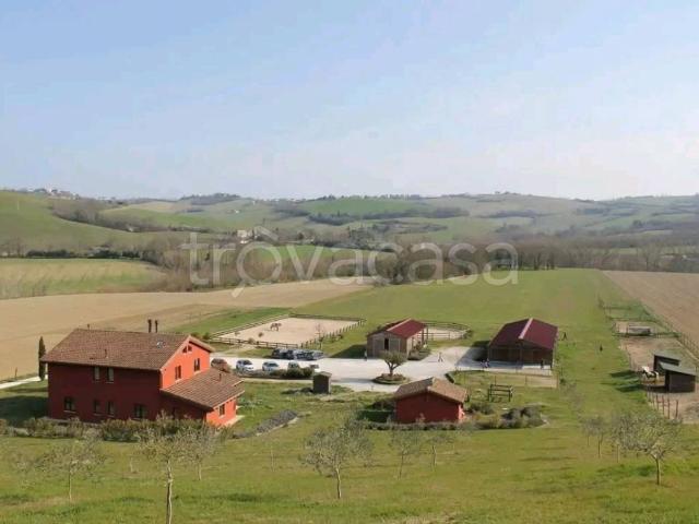Casale in in affitto da privato a Montegranaro contrada Santa Maria, 460, da privato, ingresso indipendente TrovaCasa