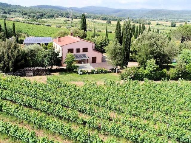 Casale in stile Toscano con terreno e vista panoramica in ve. 265m² Roccastrada