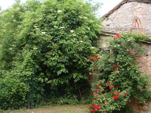 Casale in pietra da ristrutturare con terreno