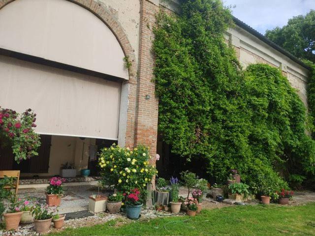 Casale in vendita a Masi Torello