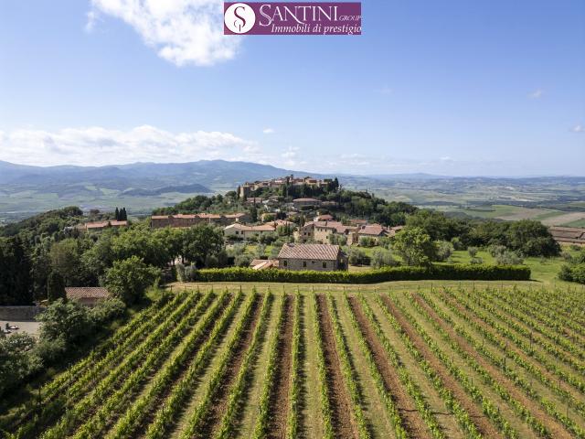 CASALE in VENDITA a MONTALCINO di 15 vani
