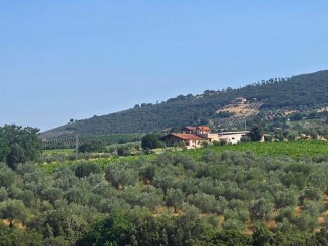 Casale in vendita a Montecchio