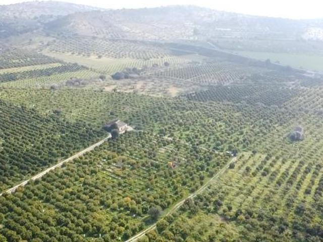 Casale in vendita a Noto