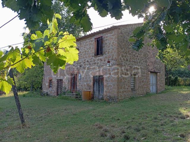 Casale in vendita a Otricoli strada Crepafico