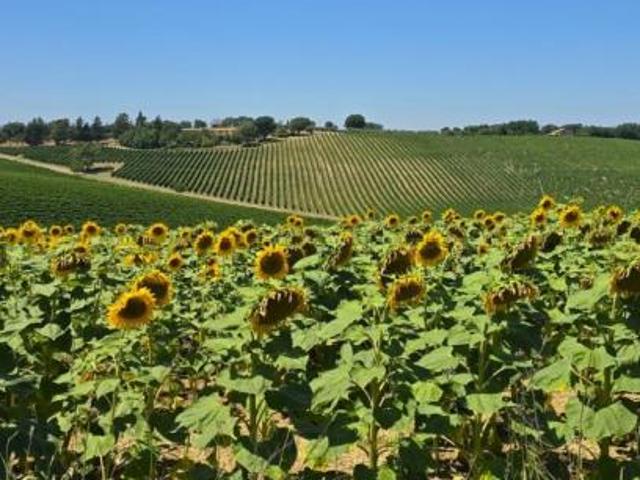 Casale in vendita a Baschi