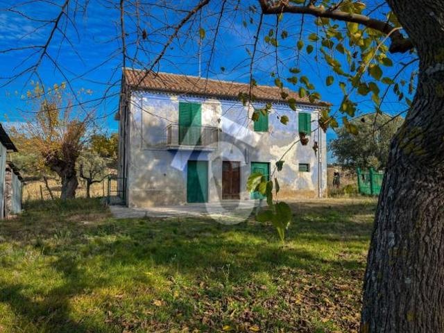 Casale in vendita a Belvedere Ostrense