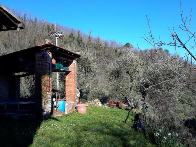 Casale in vendita a Capannori