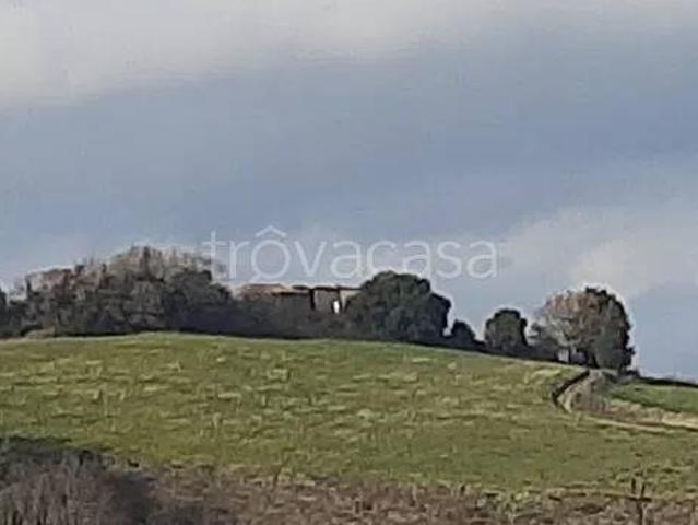 Casale in vendita a Chianni