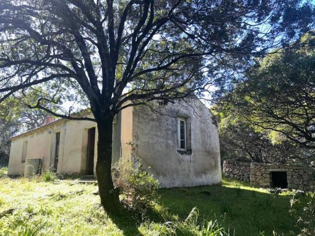 Casale in vendita a Luogosanto 78 mq Rif: 1383998