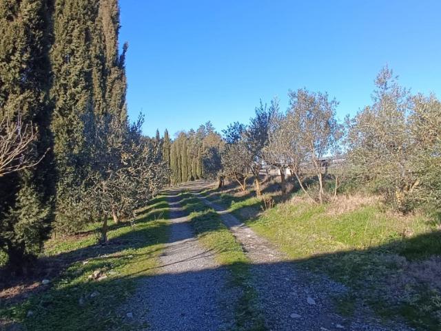 CASALE in VENDITA a PIANCASTAGNAIO di 12 vani