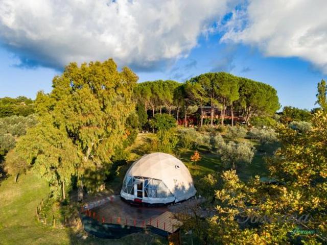 Casale in vendita a Roccatederighi Roccastrada 390 mq Rif: 1424454