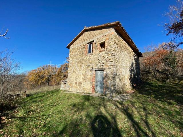 Casale in vendita a Sorano