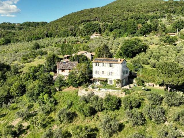 Casale in vendita ad Alviano