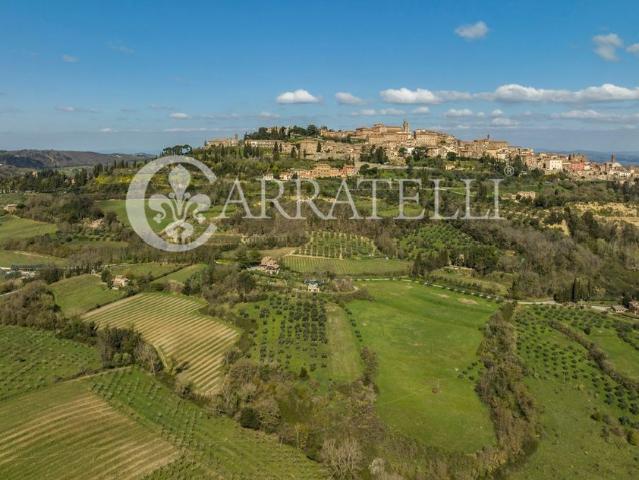 Casale in vendita Montepulciano, Italia