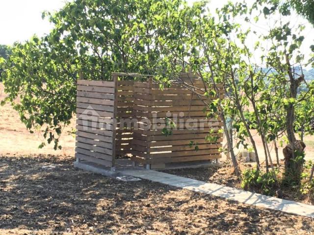 Casale Località Infernetto, Montalto di Castro