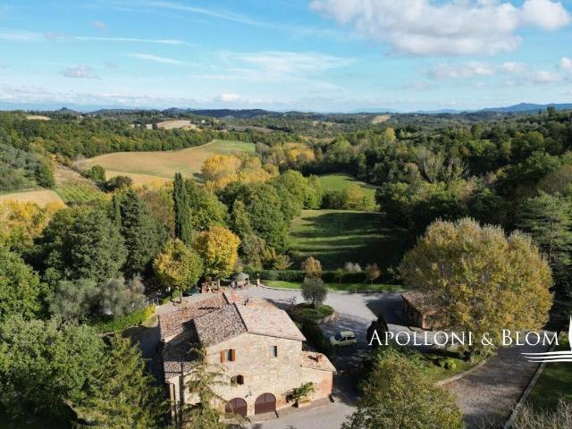 Casale L'olio Cetonese Con Annessi, Uliveto E Vigneto, Ceton. 294m² Cetona