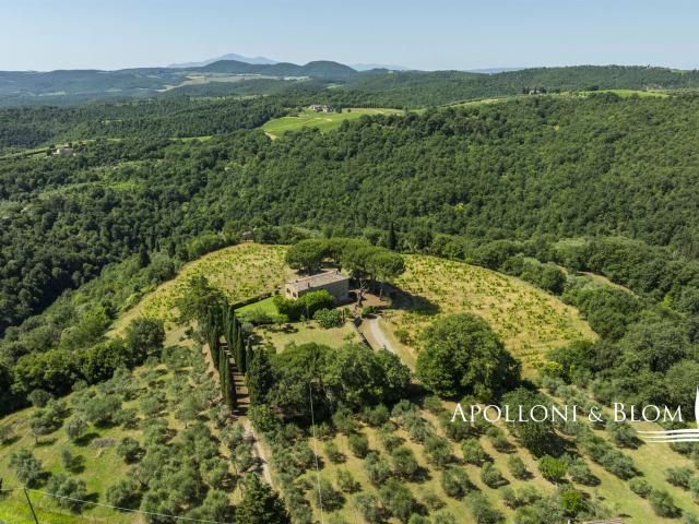Casale panoramico in pietra con oliveto, Sinalunga, Siena 251m² Sinalunga