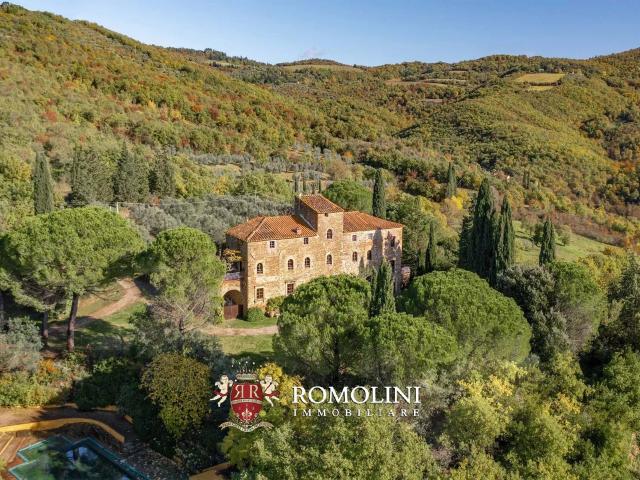 Casale Ristrutturato Con Vigneto In Vendita Ad Arezzo, Tosca. 795m² Arezzo