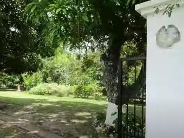 Casas de Campo en Playa San Carlos: Finca con 2 Casas, 4.3 Hectáreas de Terreno