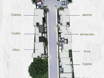 Casas en fraccionamiento foresta