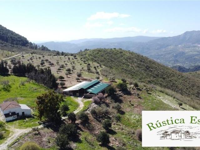 Casas Rurais Benalauria Málaga LS100299316