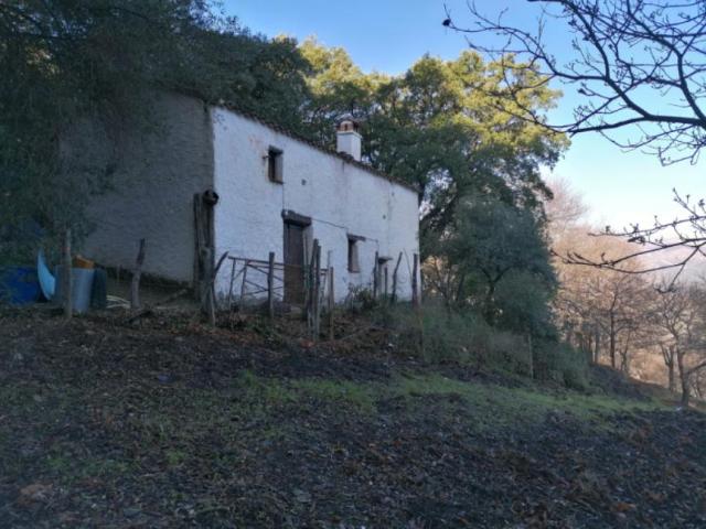 Casas Rurais Farajan Málaga 96288599