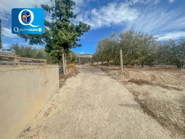 Casas Rurais Mutxamel Alicante LS101043859