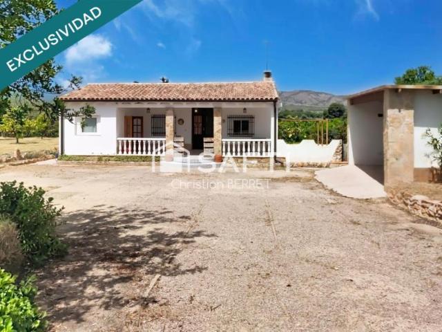 Casas Rurais Pedralba Valencia 104067117