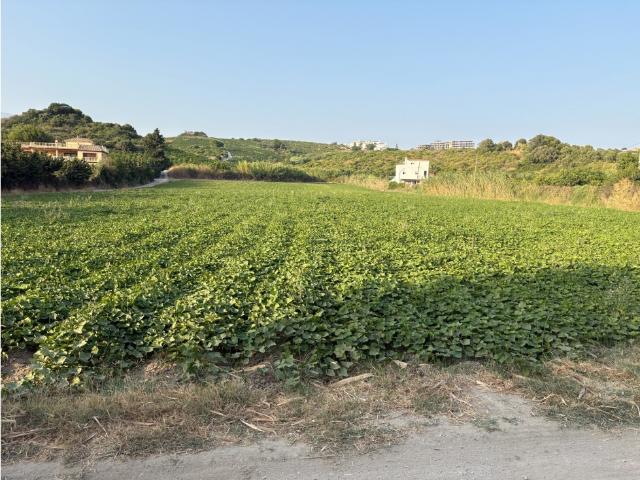 CASARES PARCELA RUSTICA